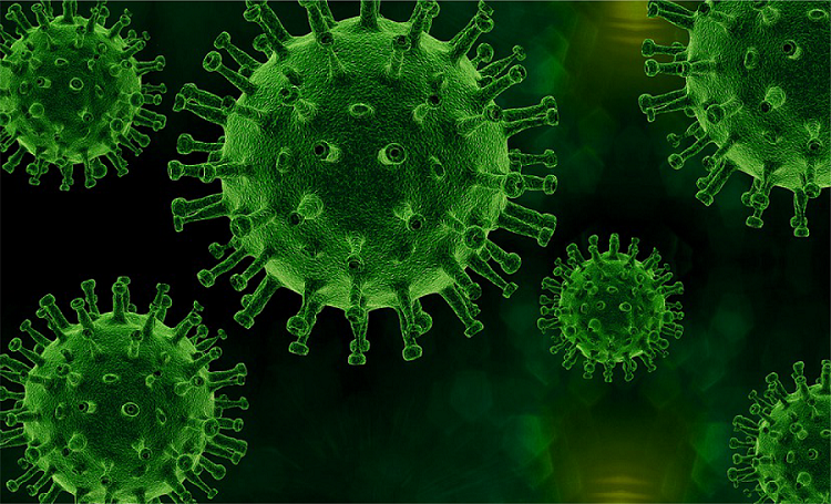 大宝娱乐-LG游戏|PT游戏|CQ9游戏