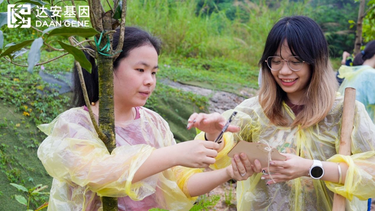 大宝娱乐-LG游戏|PT游戏|CQ9游戏